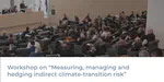 Workshop on “Measuring, managing and hedging indirect climate-transition risk”